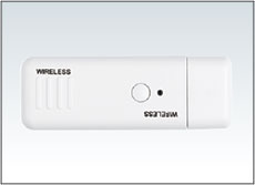 Wireless LAN unit