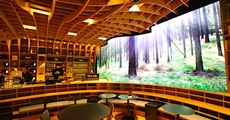 LED Display